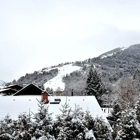 Apartmenthouse 5 Seasons - Incl Summer Card By In One Apartman Zell am See