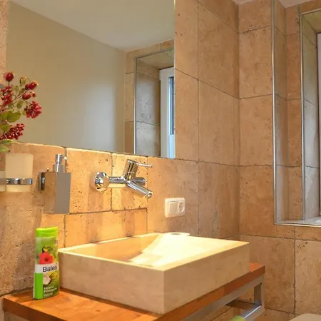 Apartmenthouse 5 Seasons - Incl Summer Card By In One Appartement Zell am See