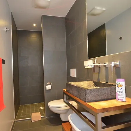 Apartmenthouse 5 Seasons - Incl Summer Card By In One Apartman Zell am See