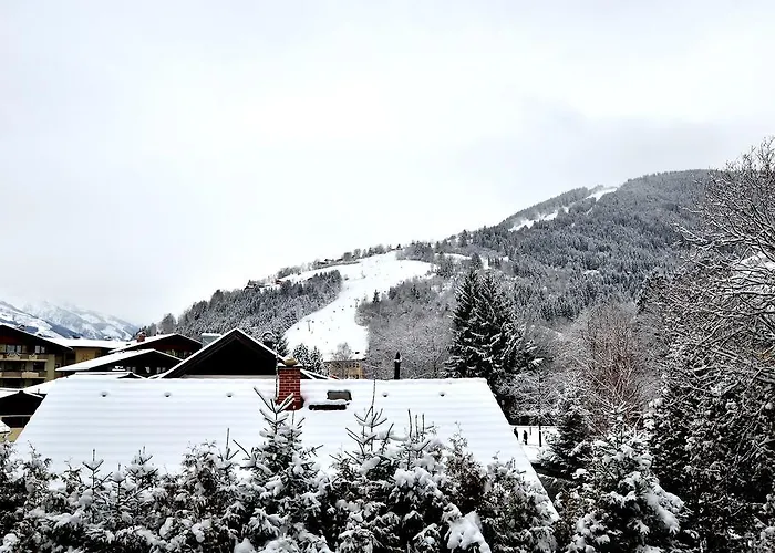 Apartmenthouse 5 Seasons - Incl Summer Card By In One Apartment Zell am See