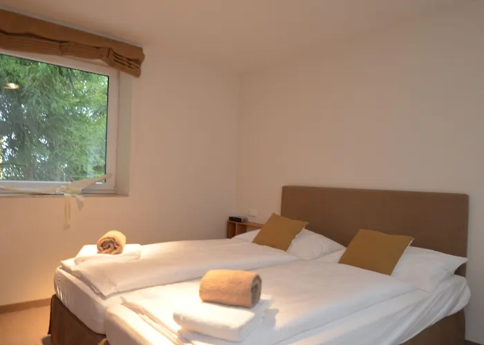 Apartmenthouse 5 Seasons - Incl Summer Card By In One Apartment Zell am See