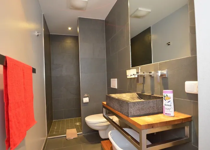 Apartmenthouse 5 Seasons - Incl Summer Card By In One Apartment Zell am See