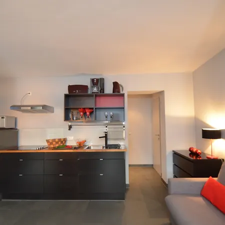 Apartment Apartmenthouse 5 Seasons - Incl Summer Card By In One Zell am See